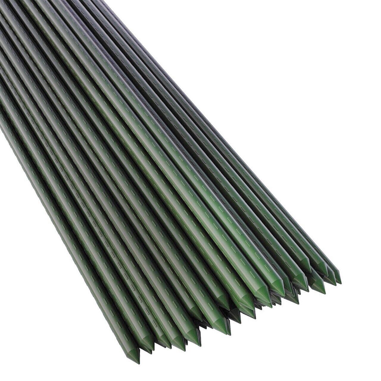 Set 100 araci/suport pentru rosii