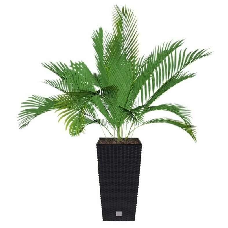 Set 2 ghivece de flori