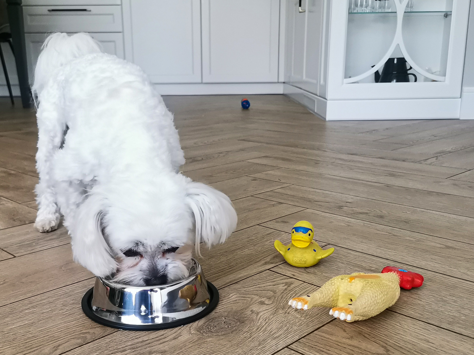 Castron Metalic pentru hranire animale de companie - 15cm - imagine 4