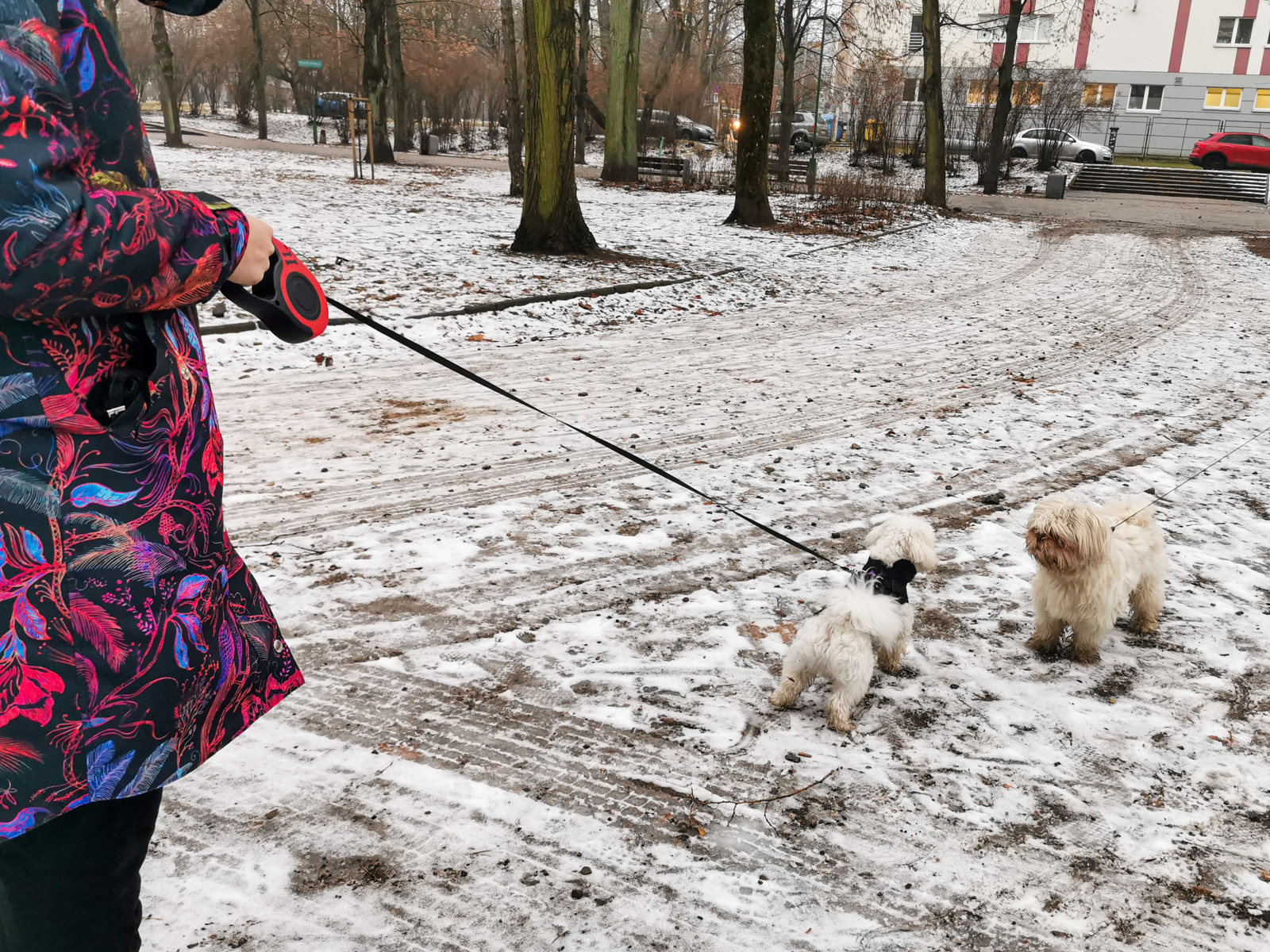 Lesa Retractabila Automata 5m lungime pentru caini de pana la 14 kg - imagine 8